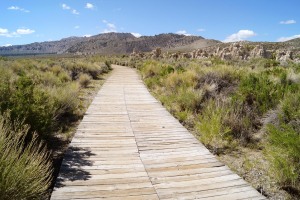Afghanistan - Ein sicheres Land ?