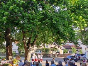 Kräuterbuschenweihe in Pellheim